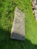 image of grave number 395716